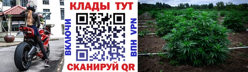 Где найти наркотики Армавир СОЛЬ  АМФ  Меф мяу мяу  Каннабис  Кокаин 