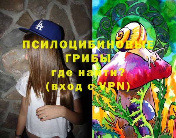 стаф Ступино